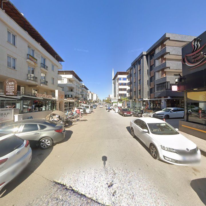 Fotoğraf 12