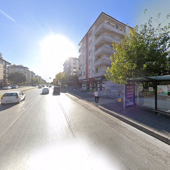Fotoğraf 13