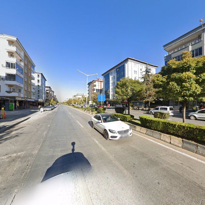 Fotoğraf 11