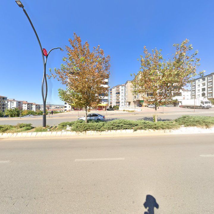 Fotoğraf 8