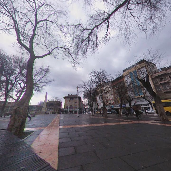 Fotoğraf 7