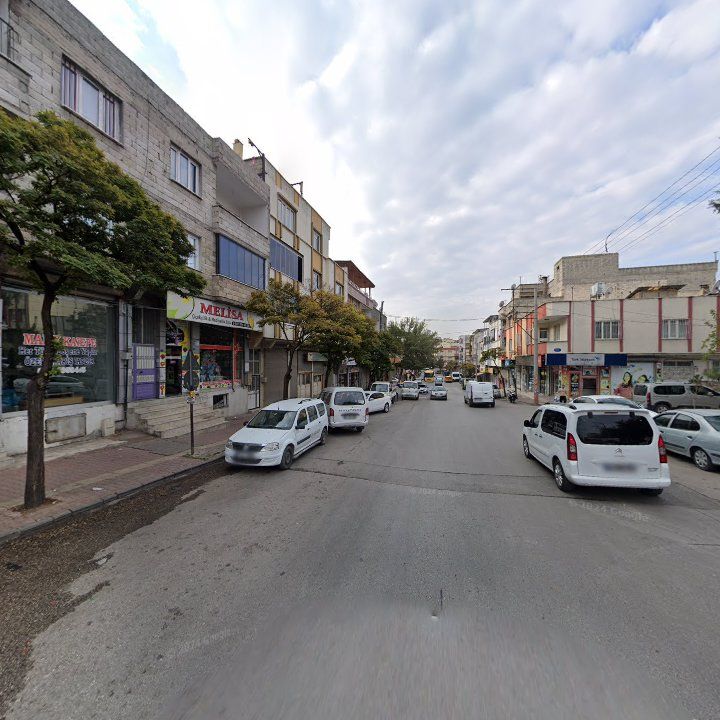 Fotoğraf 3