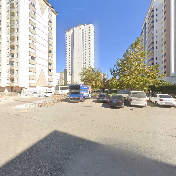 Fotoğraf 11