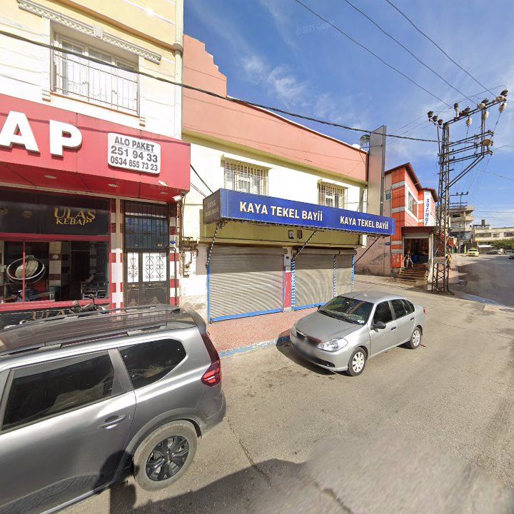Fotoğraf 3