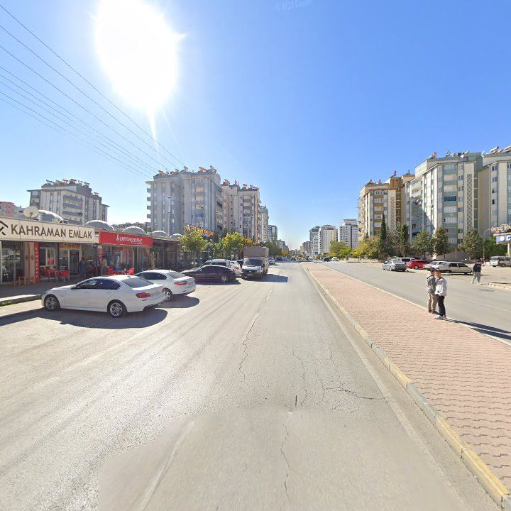 Fotoğraf 9
