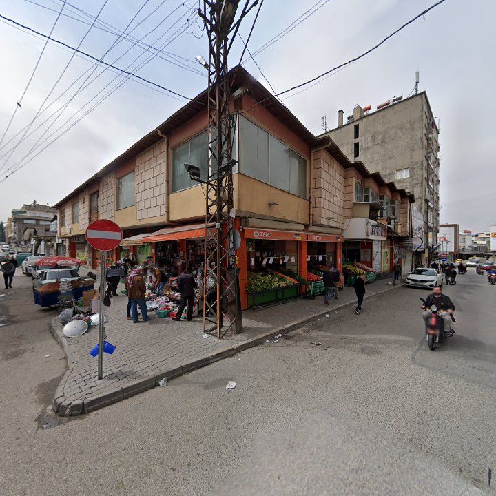Fotoğraf 7