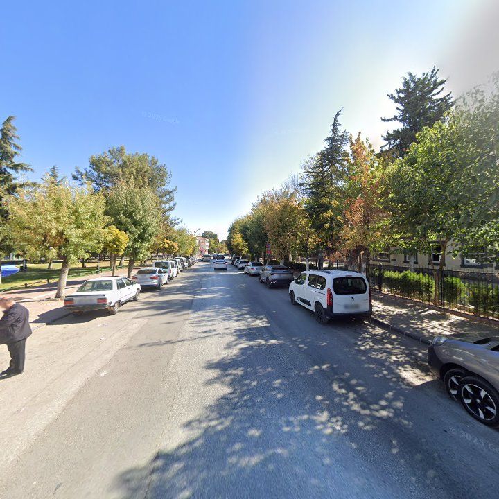 Fotoğraf 9