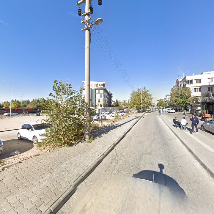 Fotoğraf 11