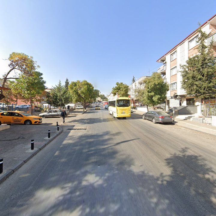 Fotoğraf 8