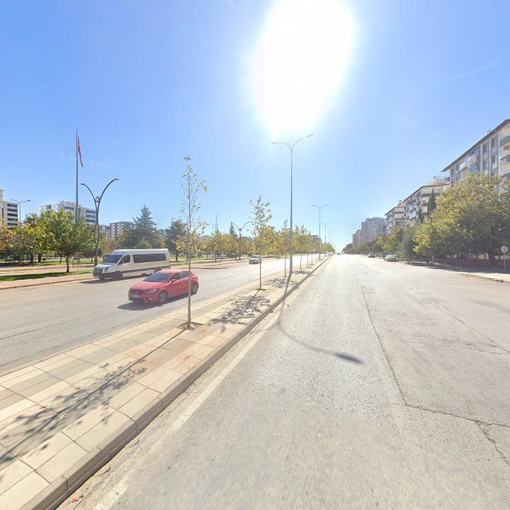 Fotoğraf 8