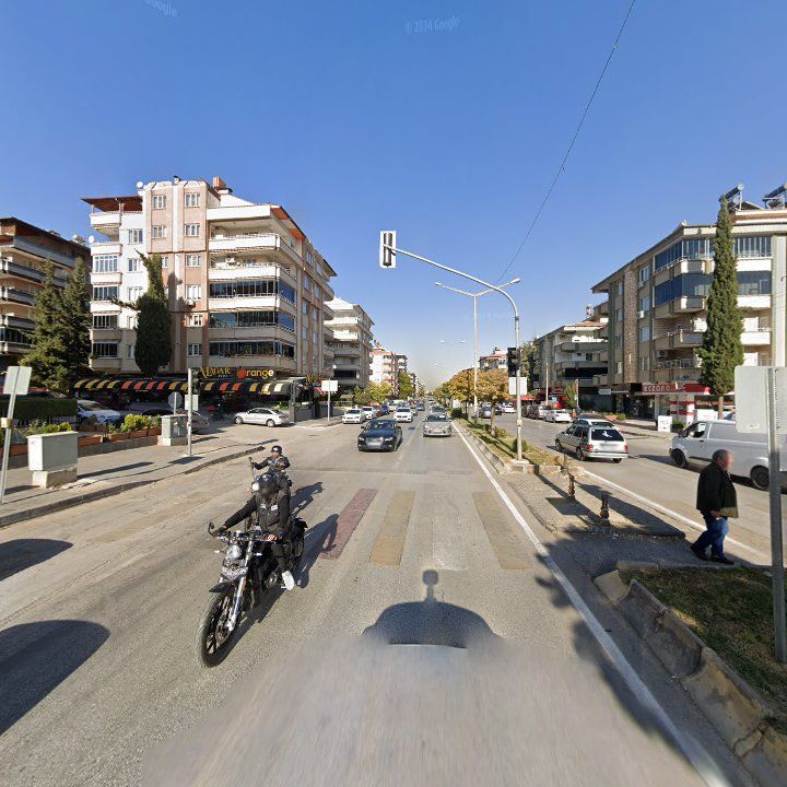 Fotoğraf 10