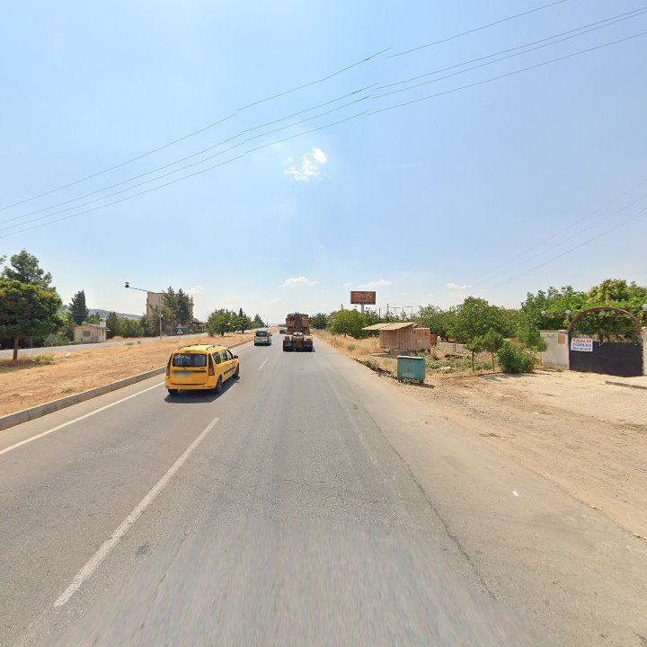 Fotoğraf 11