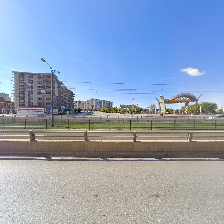 Fotoğraf 10