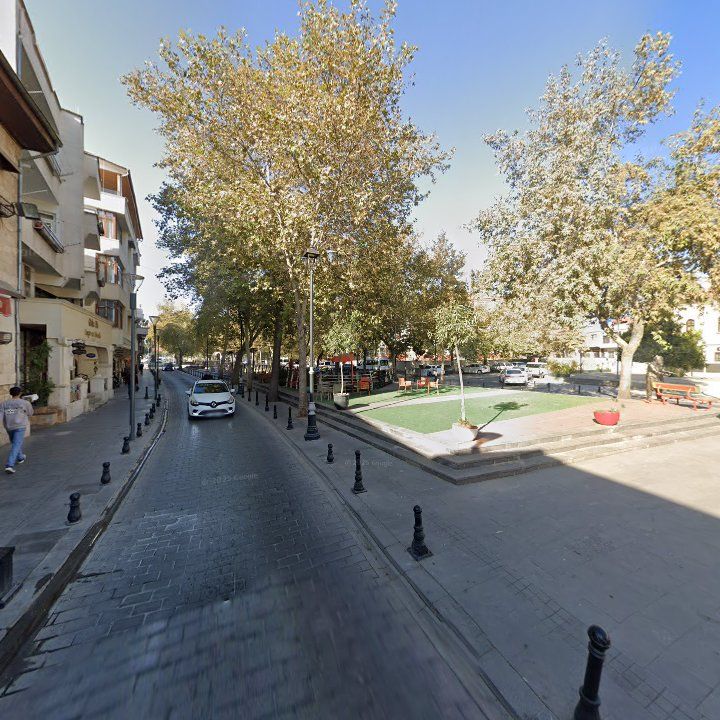 Fotoğraf 8