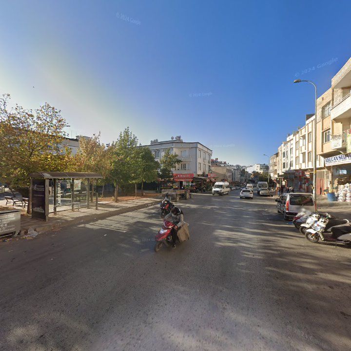 Fotoğraf 10