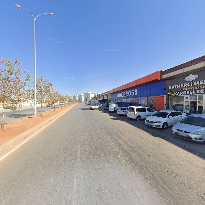 Fotoğraf 7