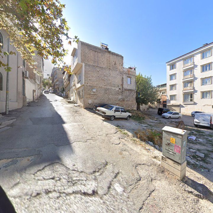 Fotoğraf 9