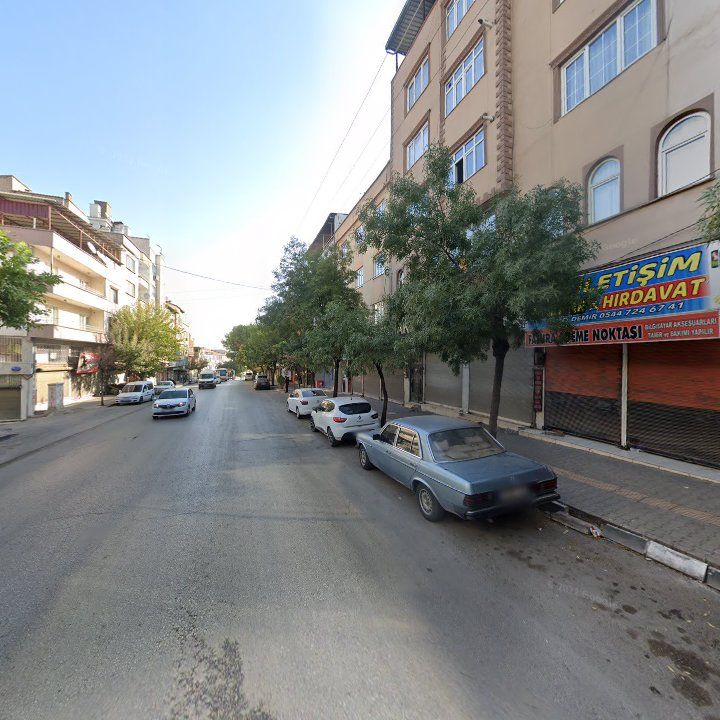 Fotoğraf 4