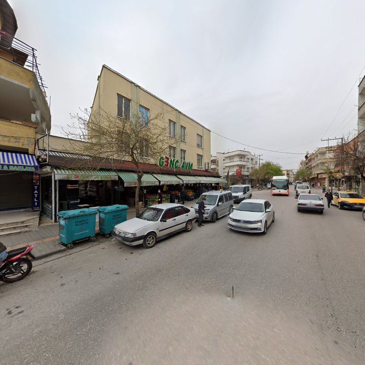 Fotoğraf 9