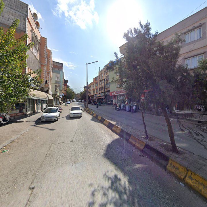 Fotoğraf 3