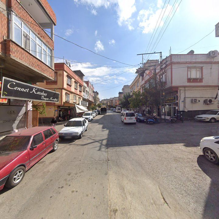 Fotoğraf 6