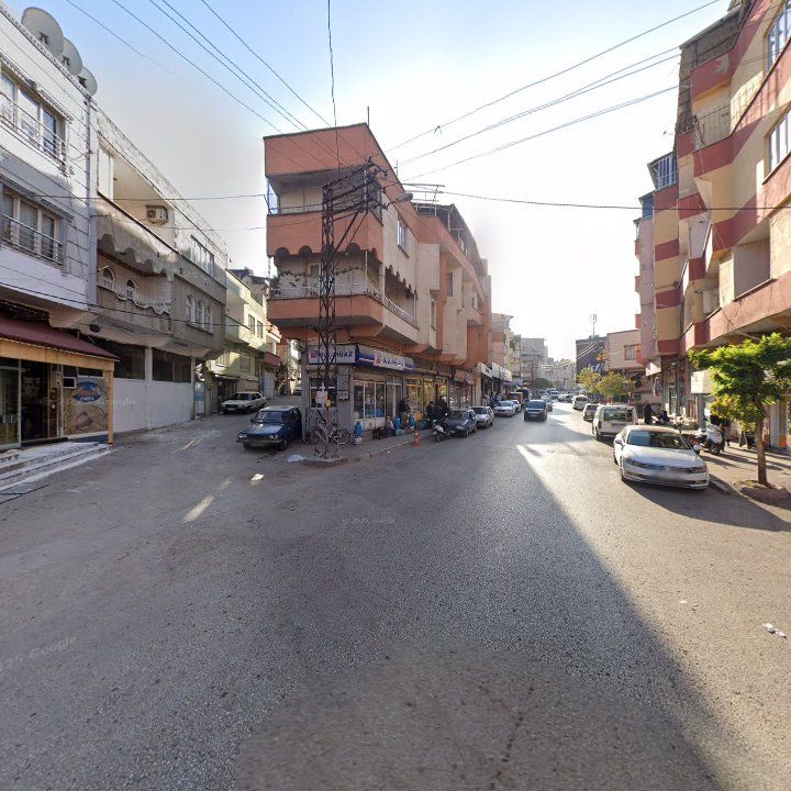 Fotoğraf 3
