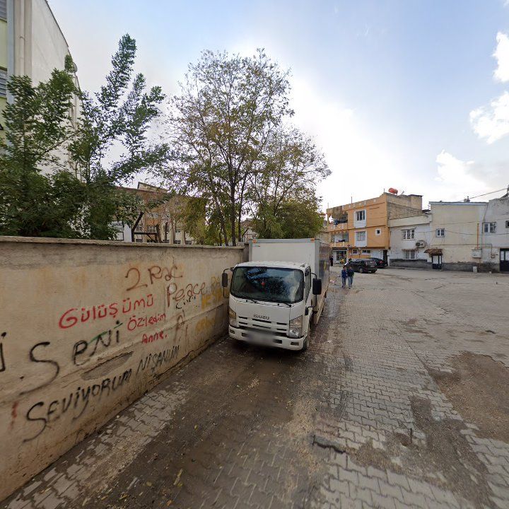 Fotoğraf 9