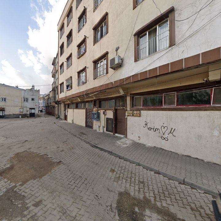 Fotoğraf 10