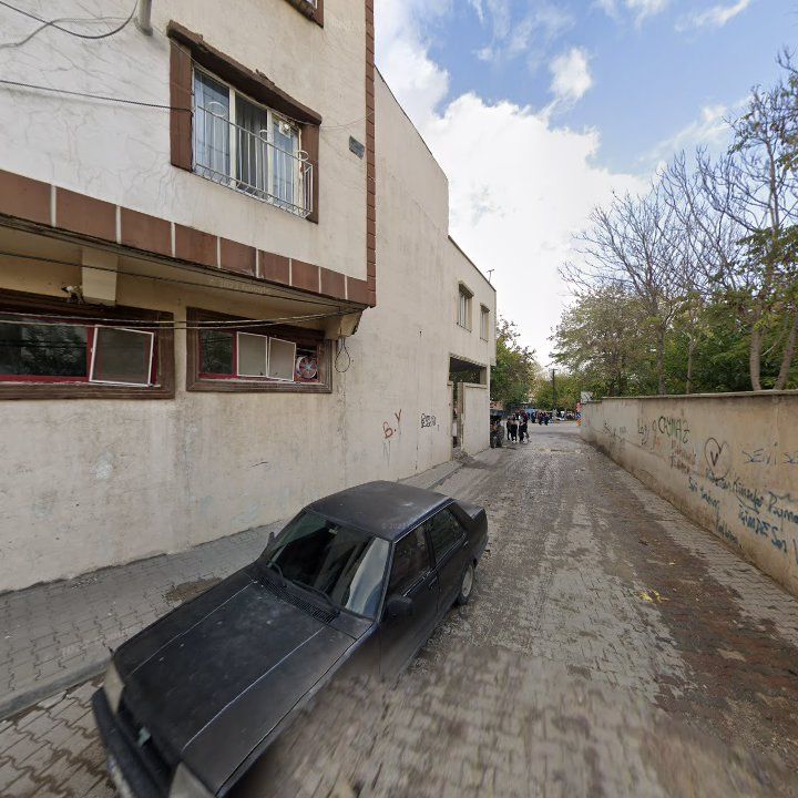 Fotoğraf 7