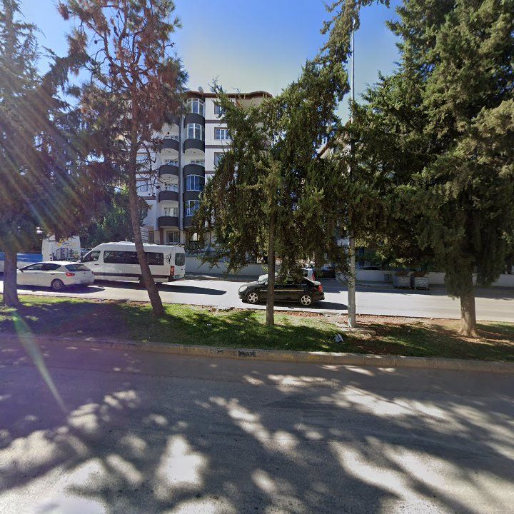 Fotoğraf 6