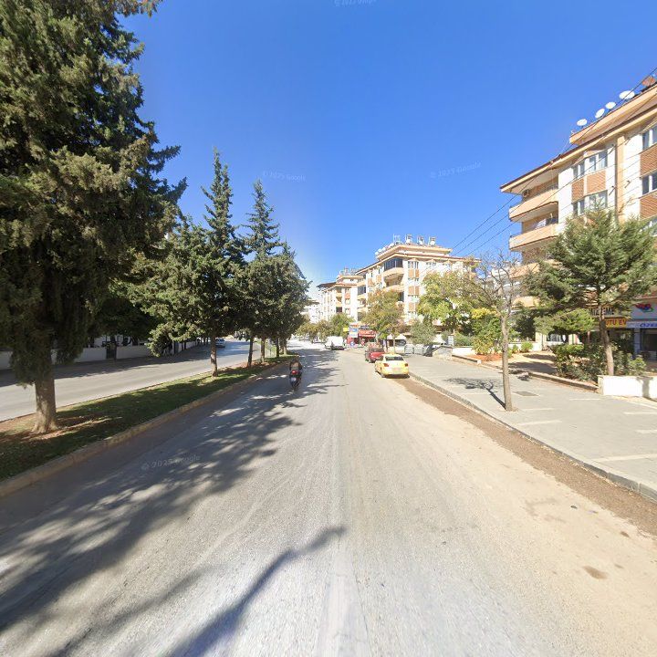 Fotoğraf 7