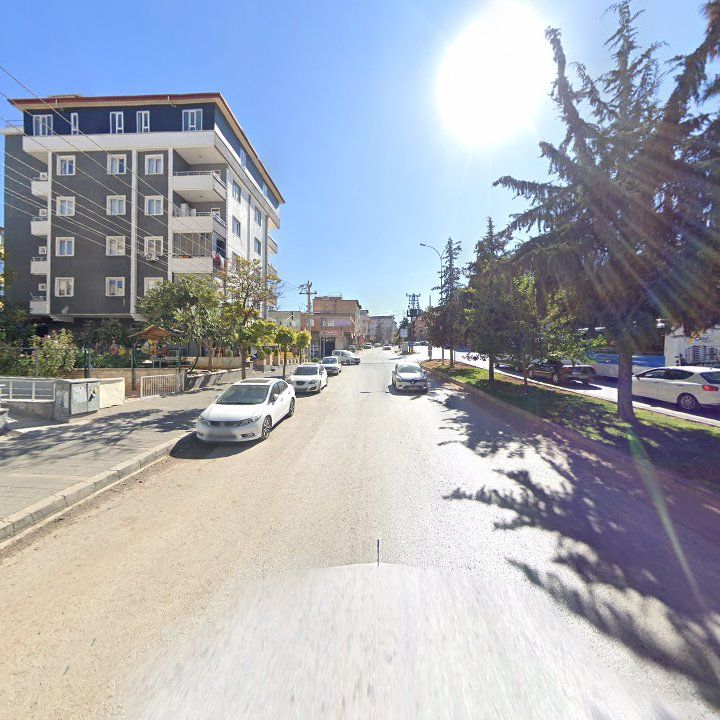 Fotoğraf 5