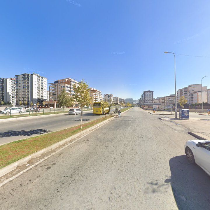 Fotoğraf 7