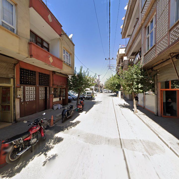 Fotoğraf 6