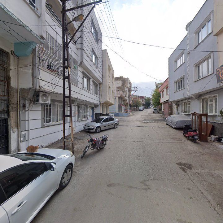 Fotoğraf 6