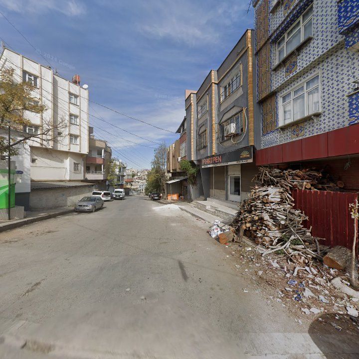 Fotoğraf 7