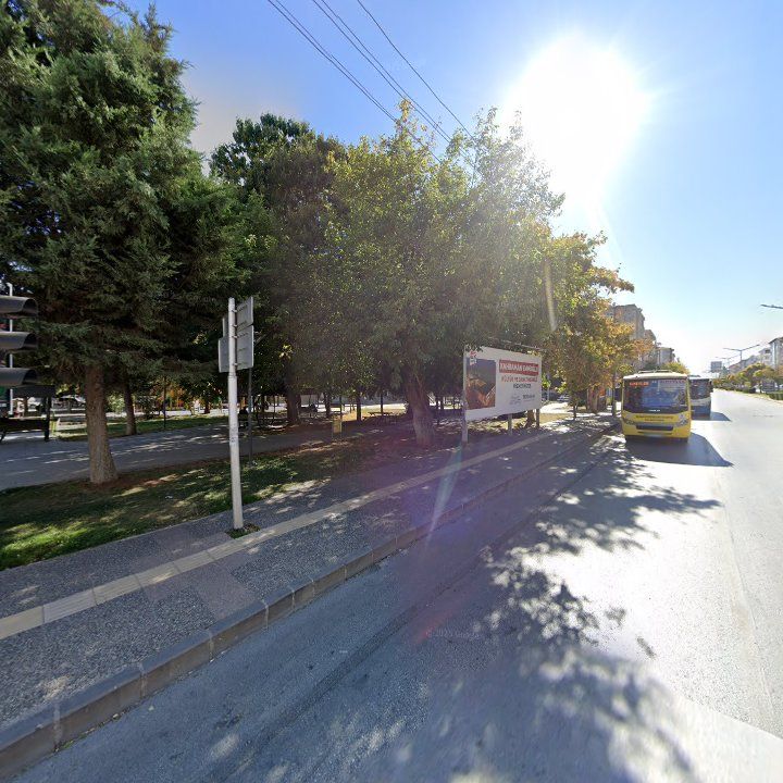 Fotoğraf 11