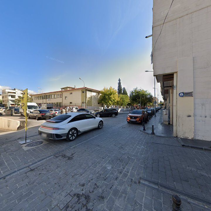 Fotoğraf 12