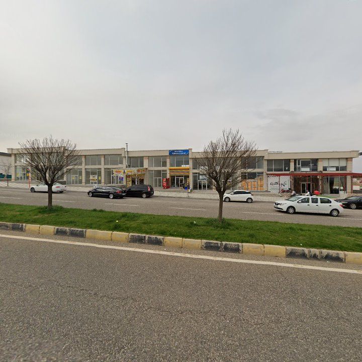 Fotoğraf 7