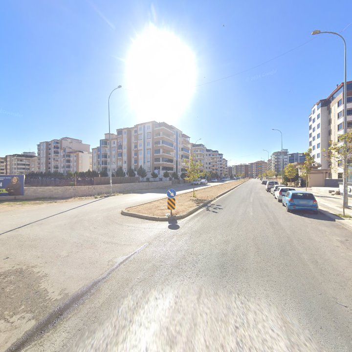 Fotoğraf 11