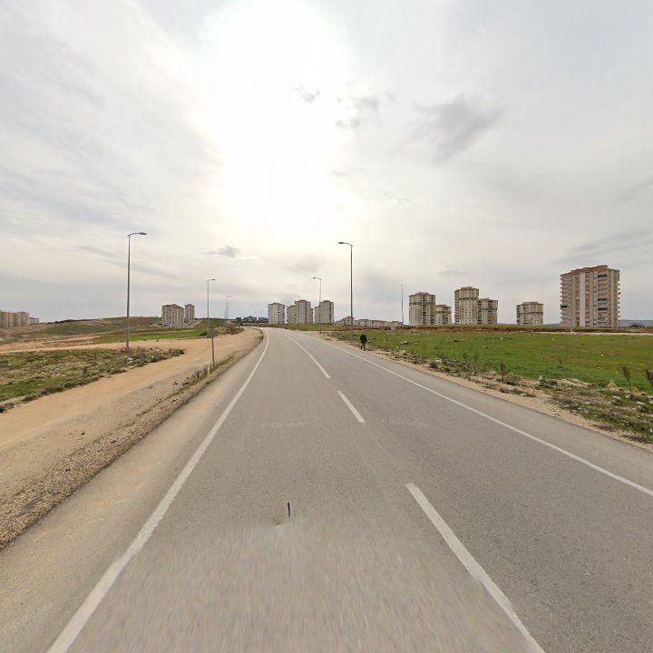 Fotoğraf 9
