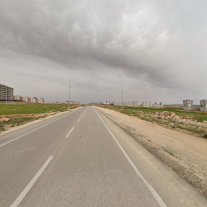 Fotoğraf 11