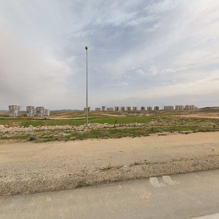 Fotoğraf 12