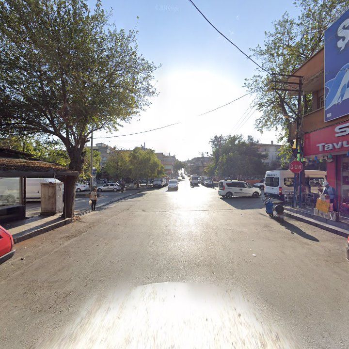 Fotoğraf 8