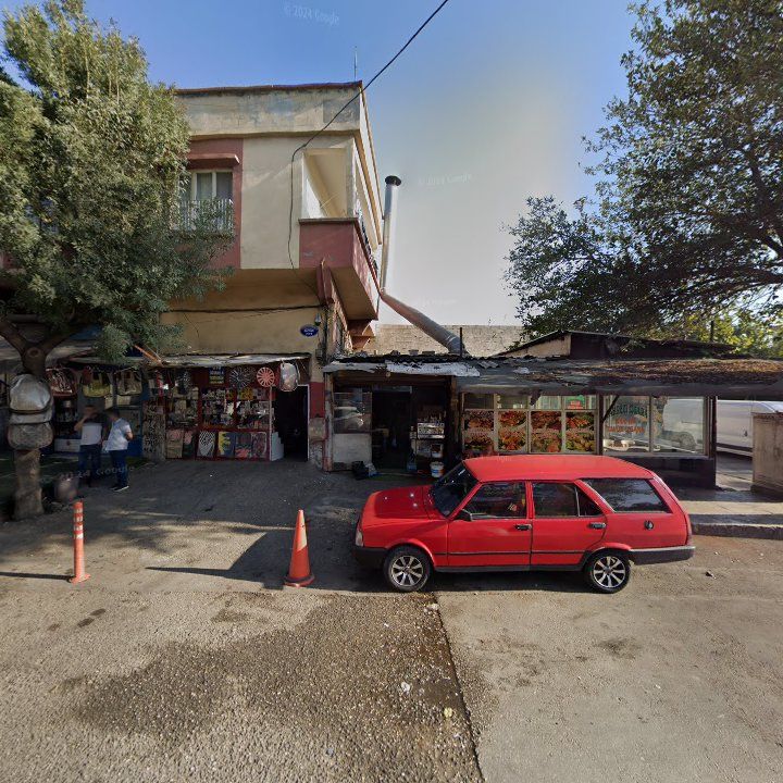 Fotoğraf 7