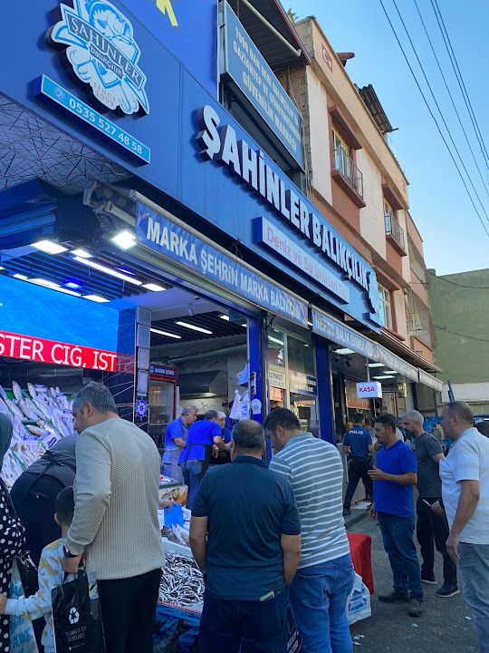Şahinler Balıkçılık