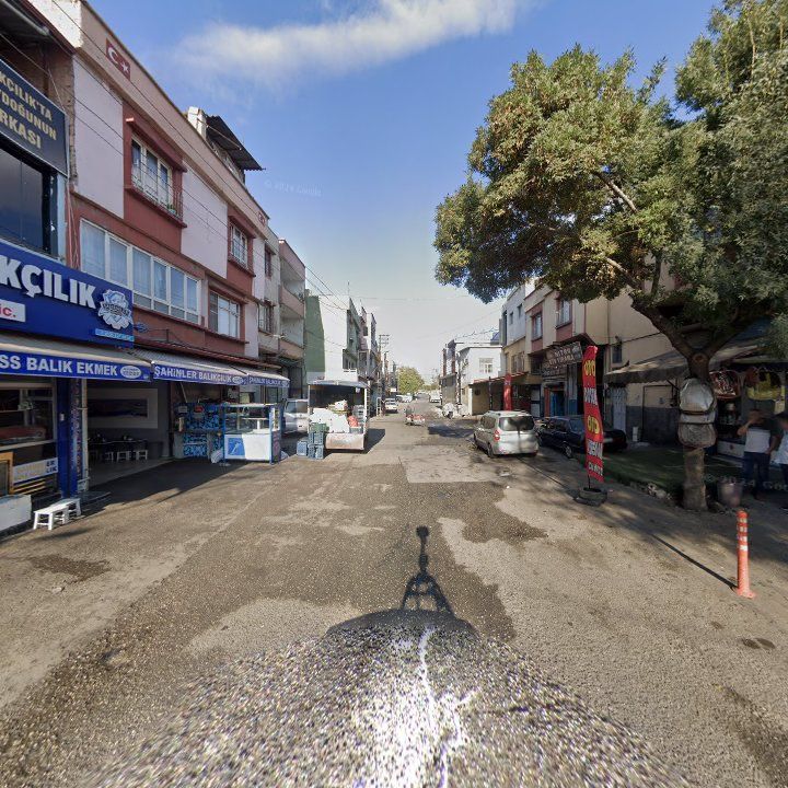 Fotoğraf 6