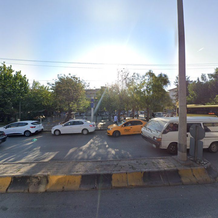 Fotoğraf 8