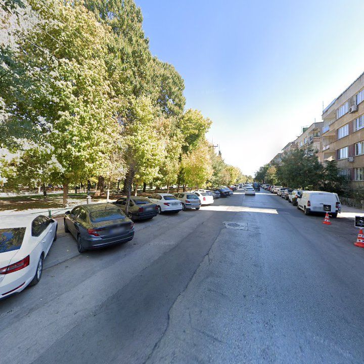 Fotoğraf 13