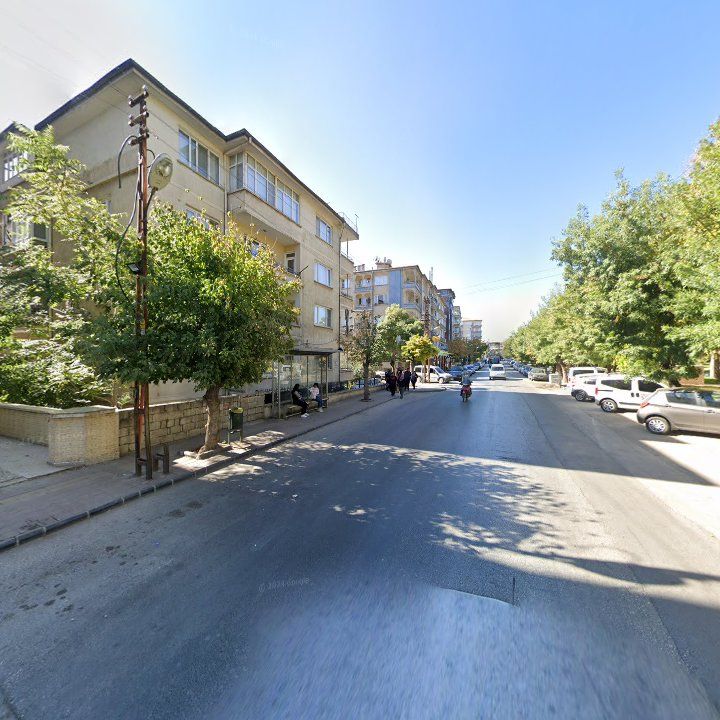 Fotoğraf 11